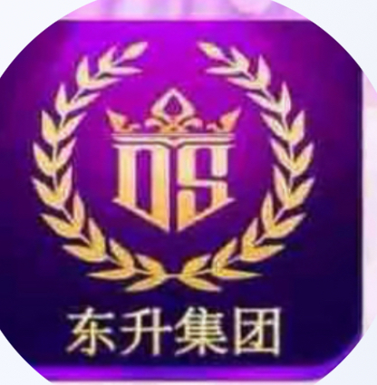 东升国际